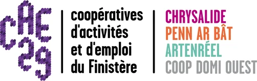 CAE29, coopératives d'activités et d'emploi du Finistère